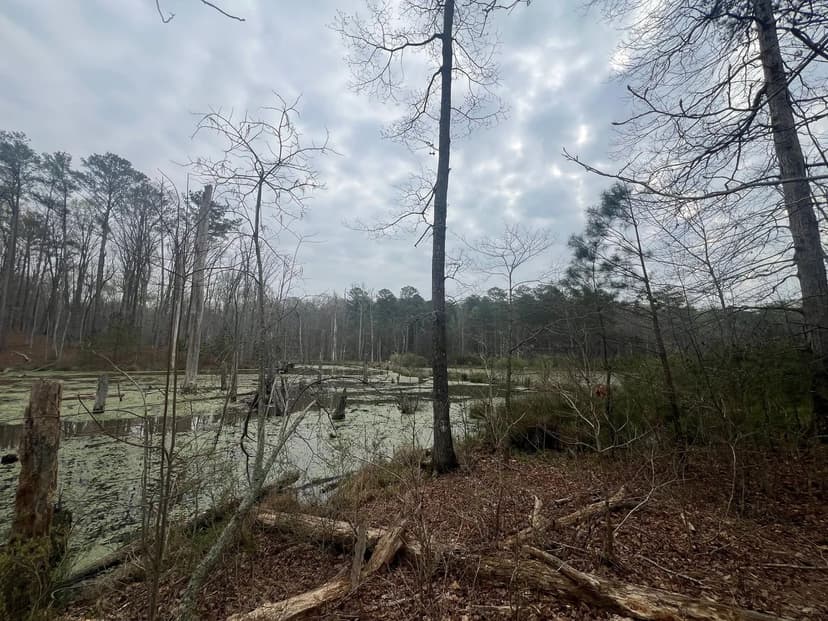 Residential Lot in Coweta County