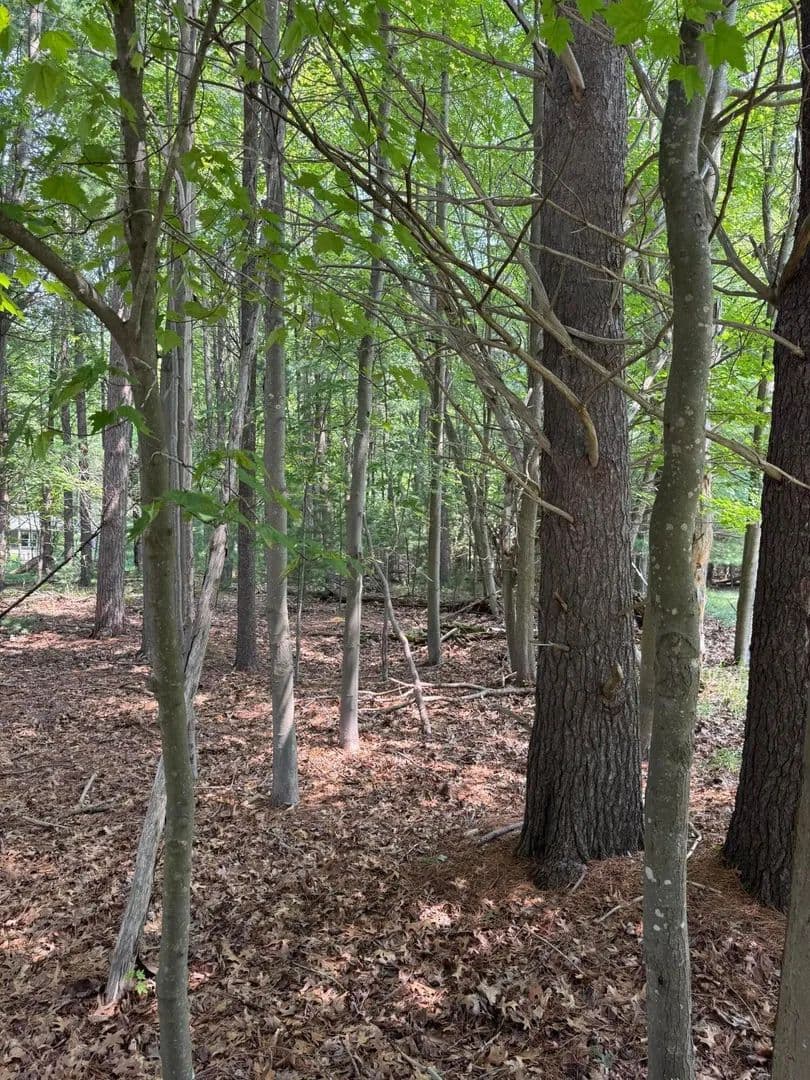 Lots & Land-Other in Pentwater - Pentwater, Michigan, 49449