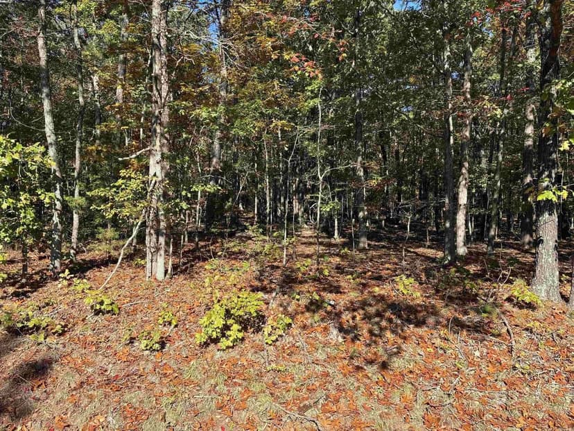 Lots & Land-Other in Fairfield Bay