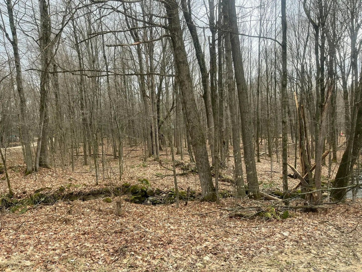 Lots & Land-Other in Chateaugay - Chateaugay, New York, 12920
