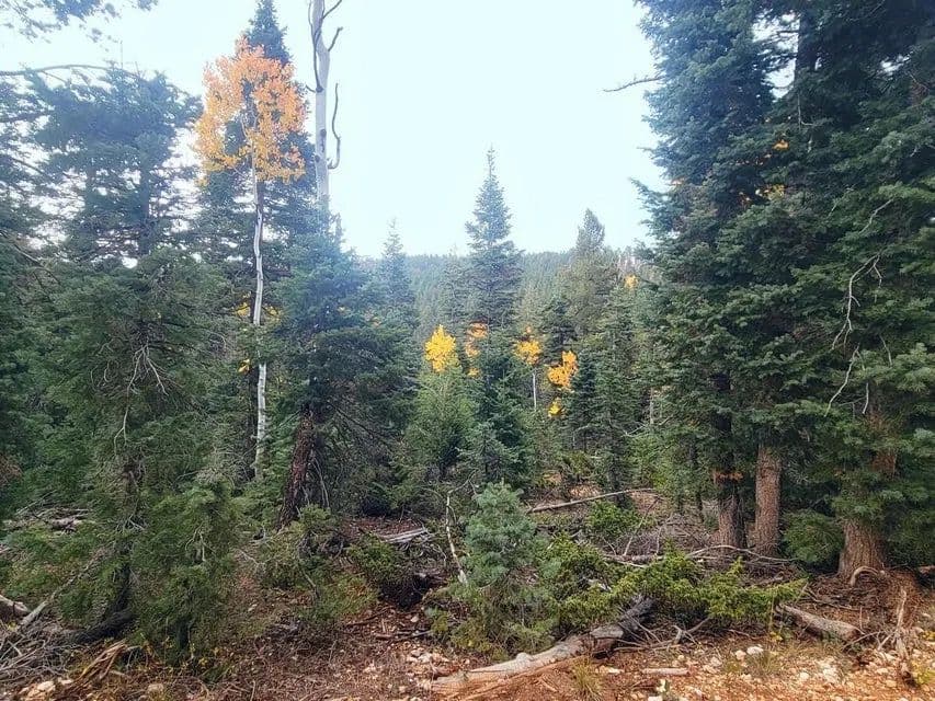 Lots & Land-Other in Duck Creek Village - Duck Creek Village, Utah, 84762