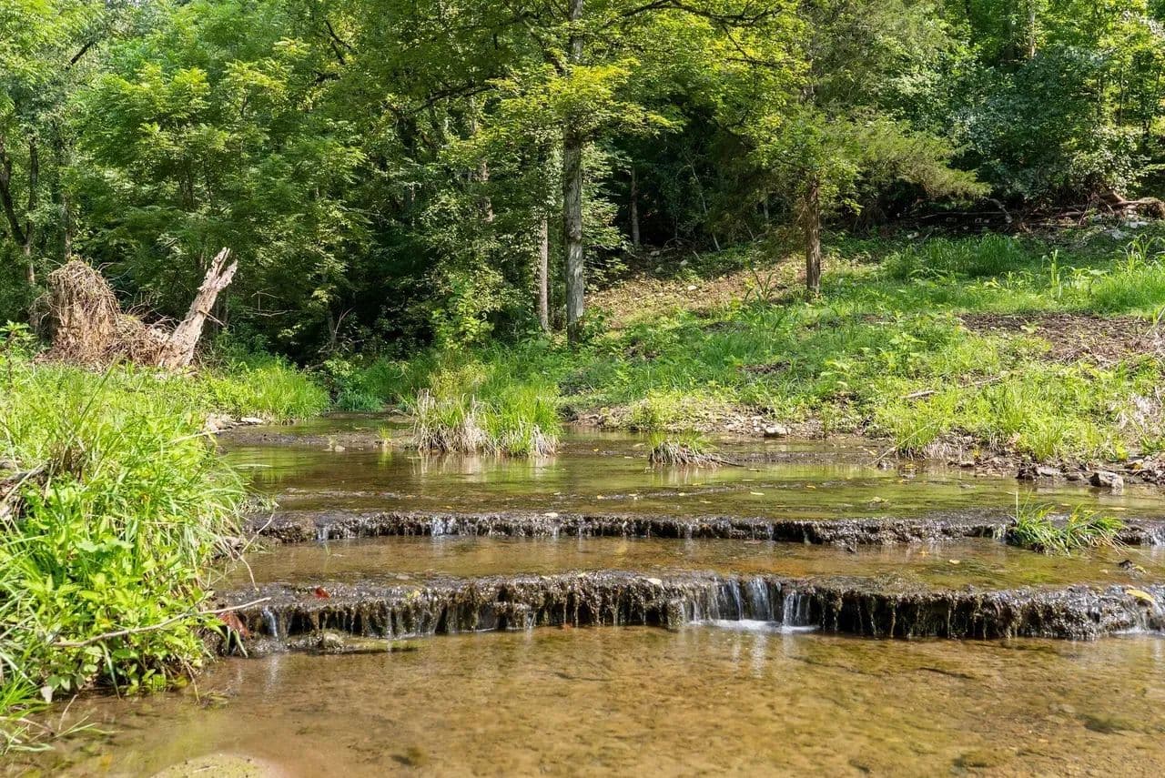 100± Acres Near Dale Hollow Lake in Clay County, Tennessee – Creek, Utilities & Privacy - Celina, Tennessee, 38551