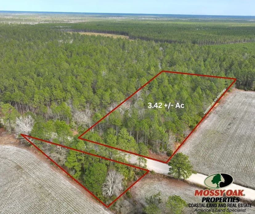 3.42 +/- Ac Land for Sale in Appling County, Ga