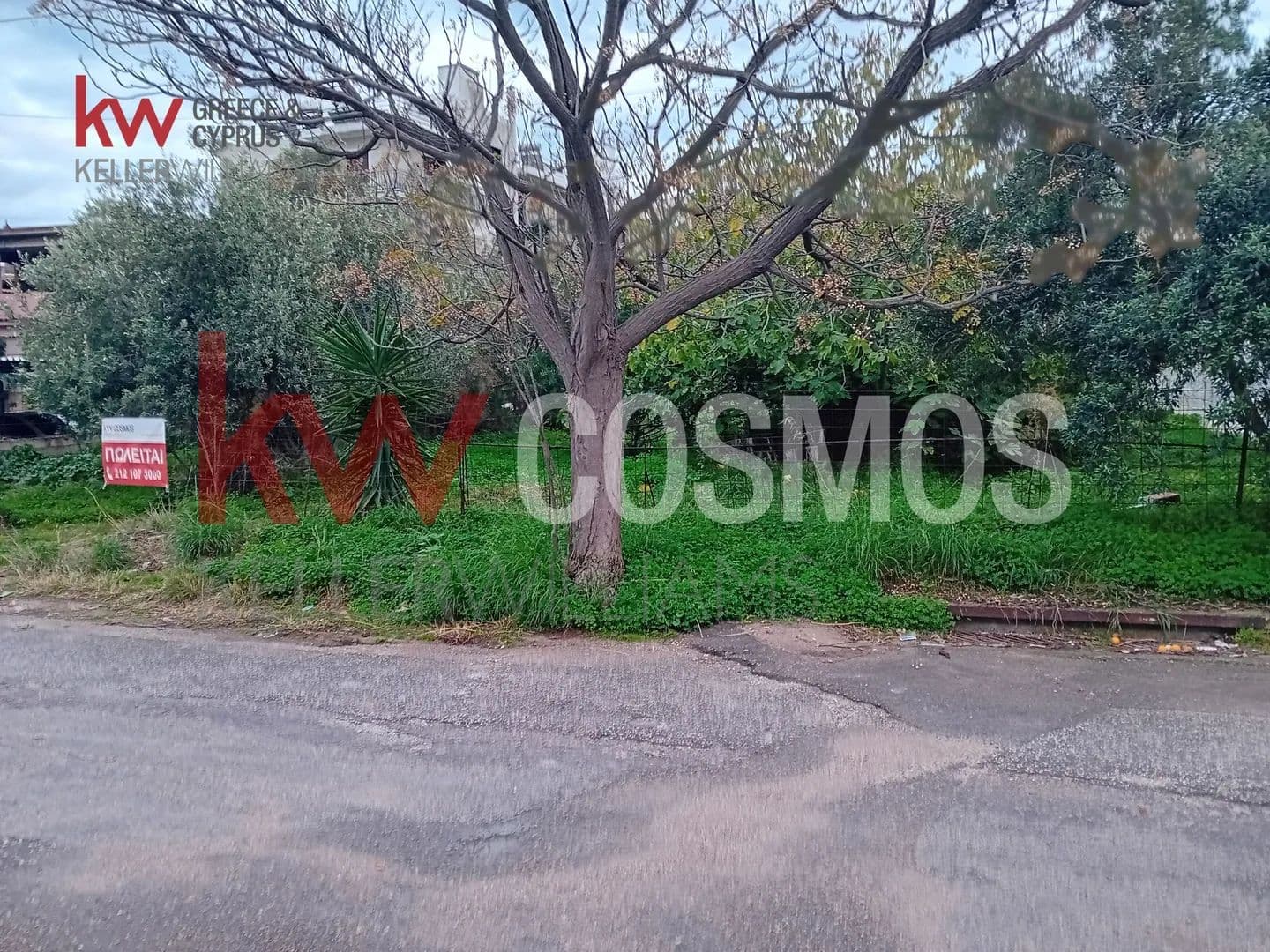 Land for Sale in Salamina, Argosaronikos islands - land for sale