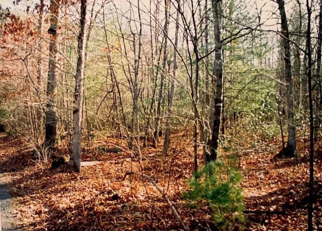 Vacant Land (0-10 Acres) in Dayton - Dayton, Virginia, 22821