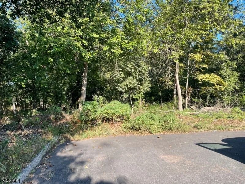 Vacant Land in Piscataway Twp.