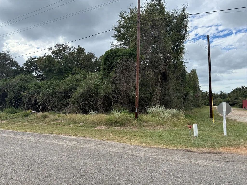 Vacant Land in Normangee - Normangee, Texas, 77871