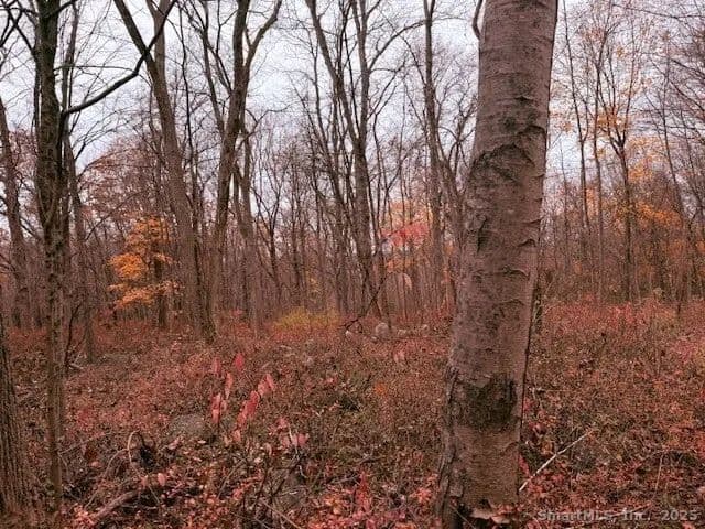 Vacant Land in Seymour