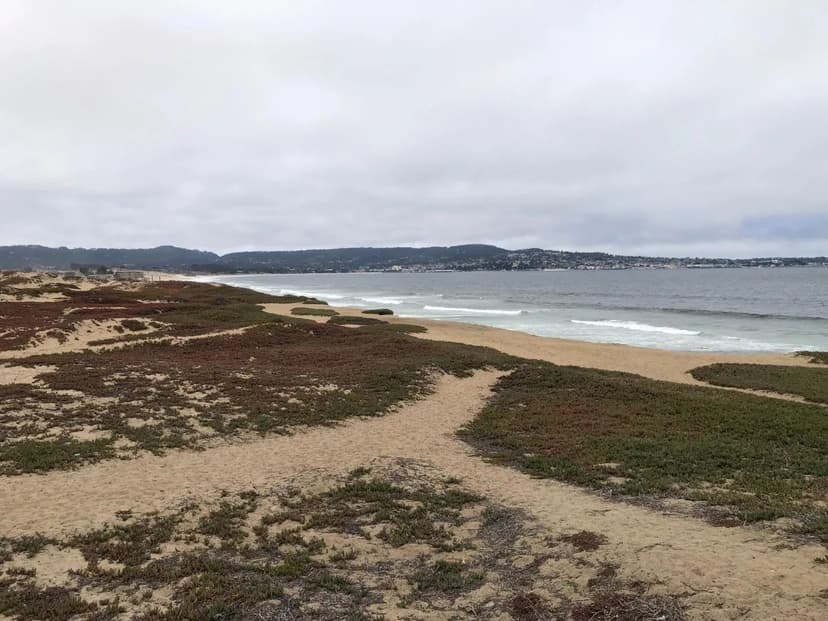 Vacant Land in Sand City