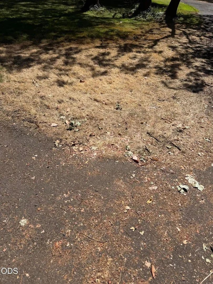 Lots & Land-Other in Medford - Medford, Oregon, 97501