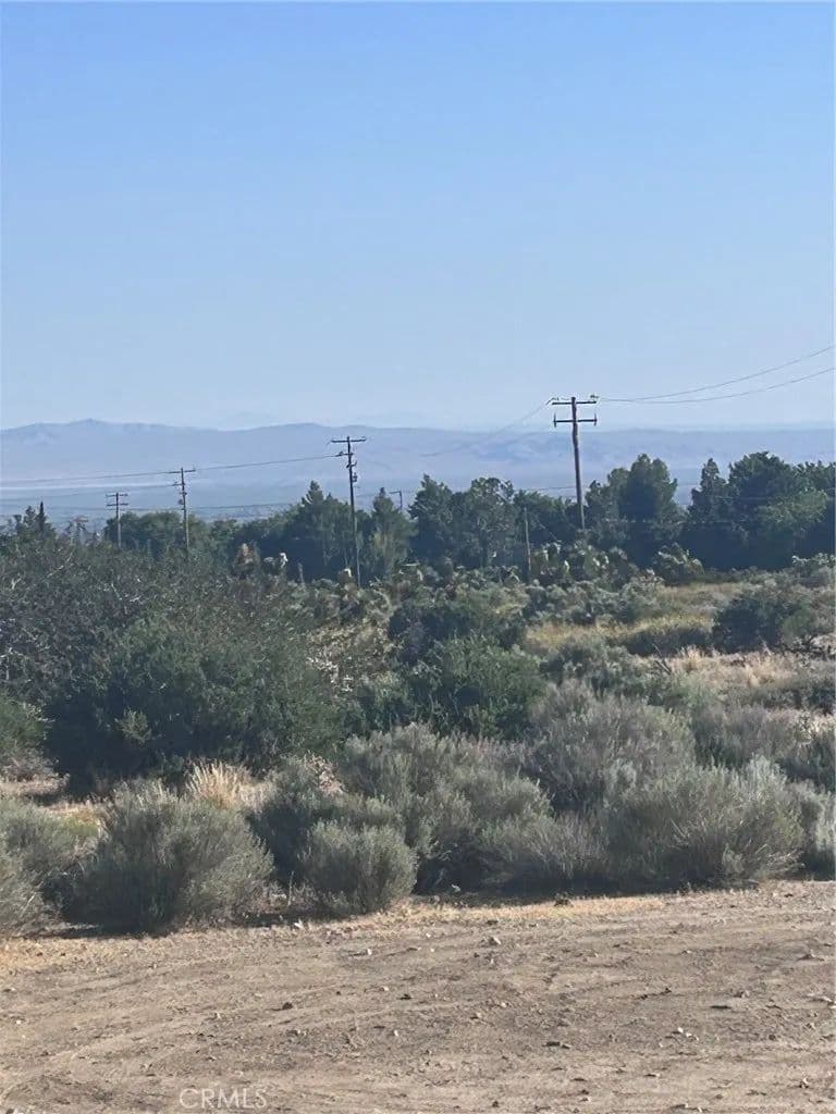 Vacant Land in Phelan - Phelan, California, 92371