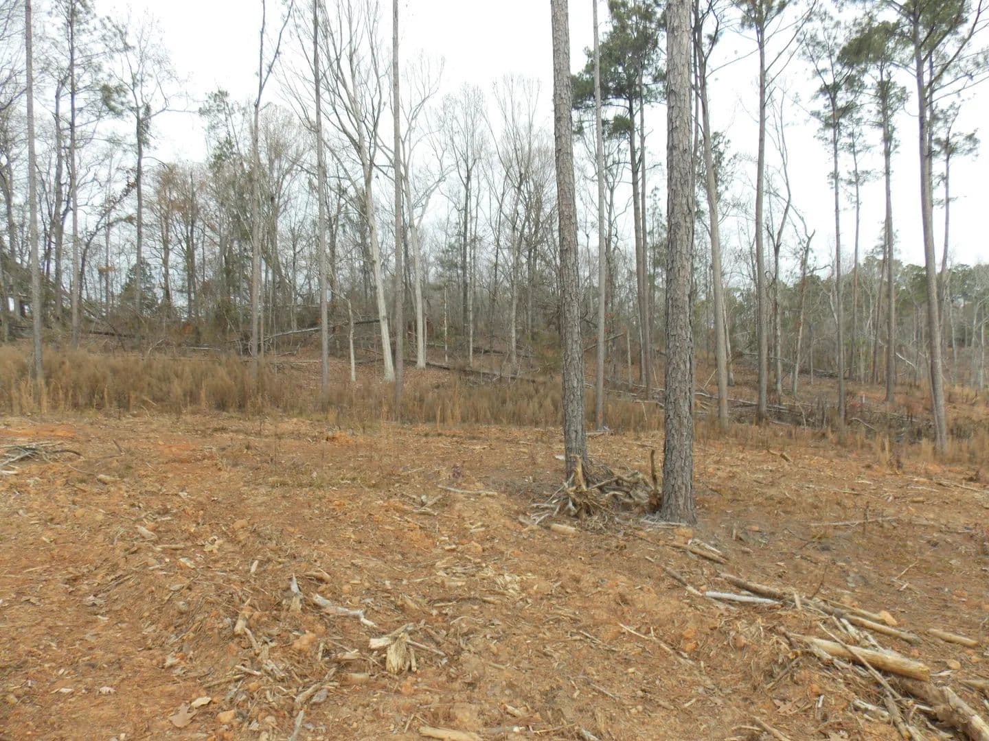 Lots & Land-Other in Lincolnton - Lincolnton, Georgia, 30817