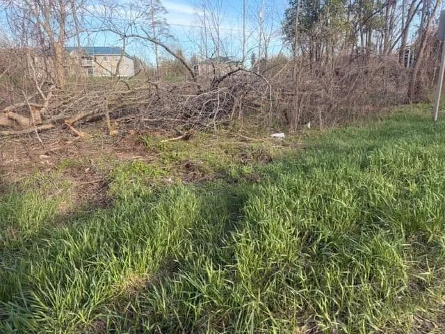 Vacant Land in Grant - Grant, Michigan, 49327