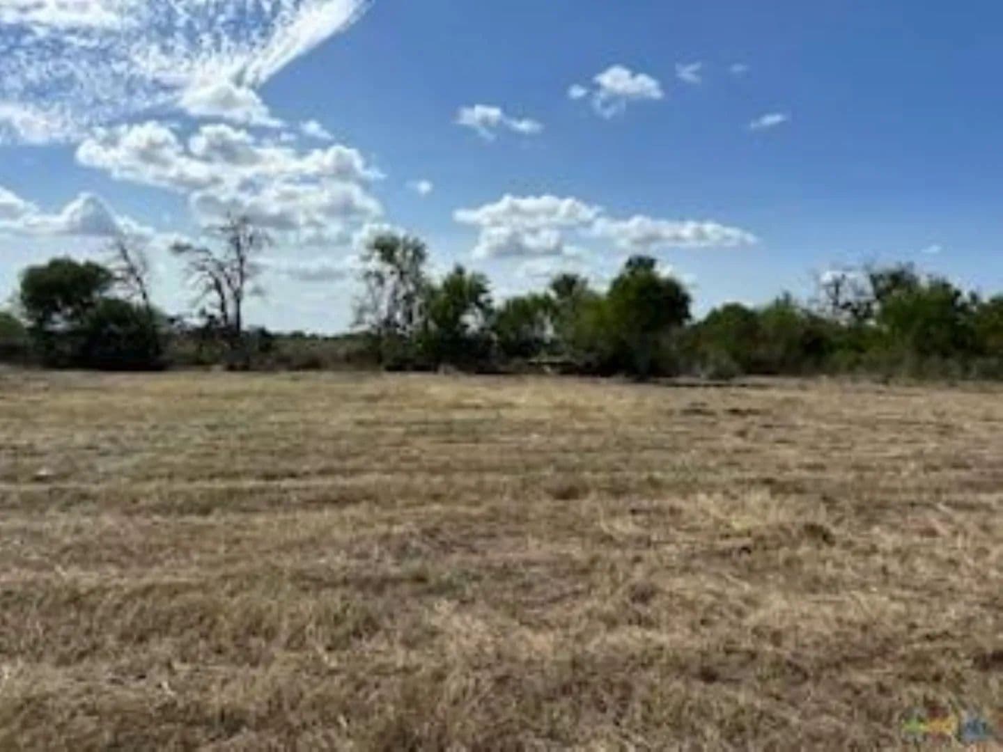 217 Twin Oaks Lane, Floresville, TX  - Floresville, Texas, 78114