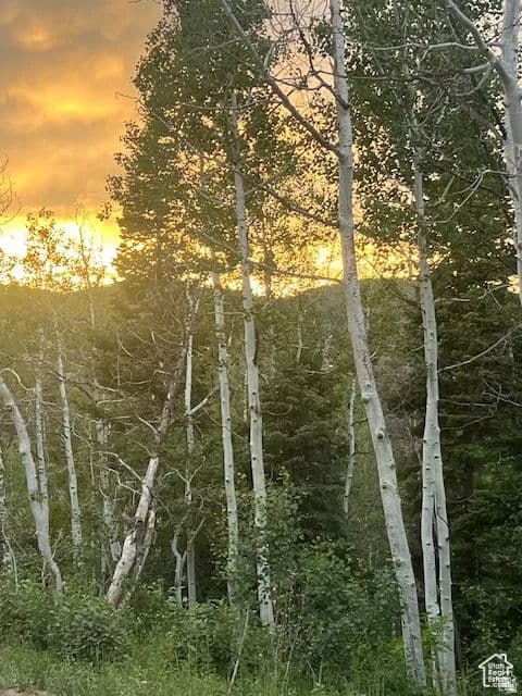 Vacant Land in Park City