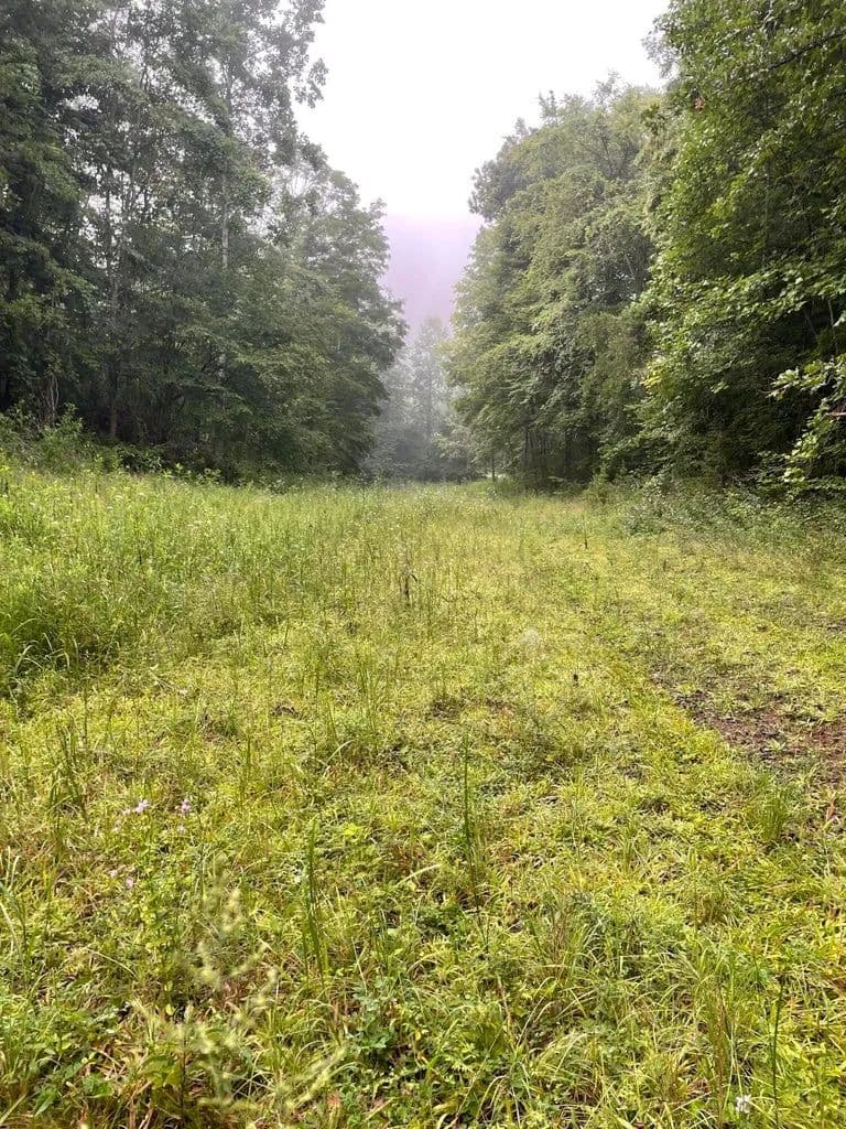 Vacant Land (10+ Acres) in Thorn Hill - Thorn Hill, Tennessee, 37881