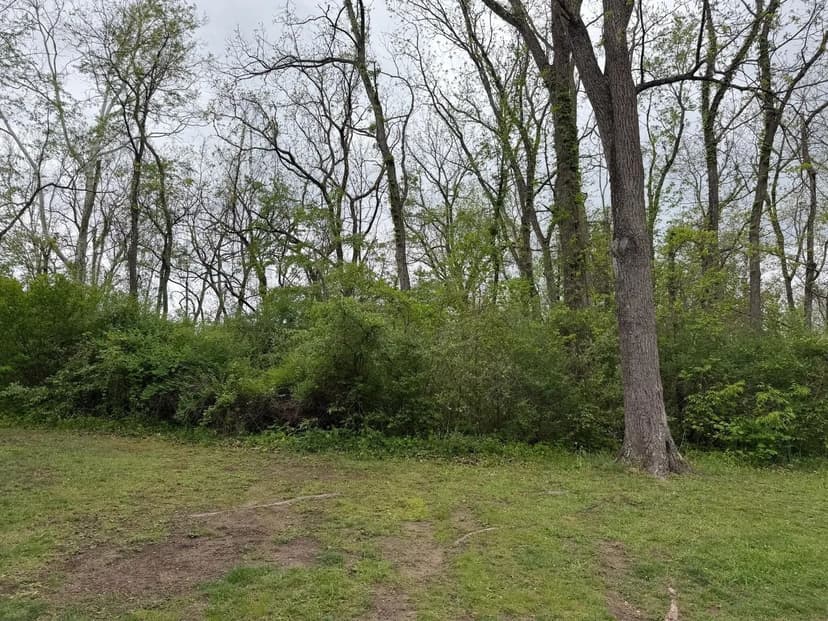 Lots & Land-Other in Alderson