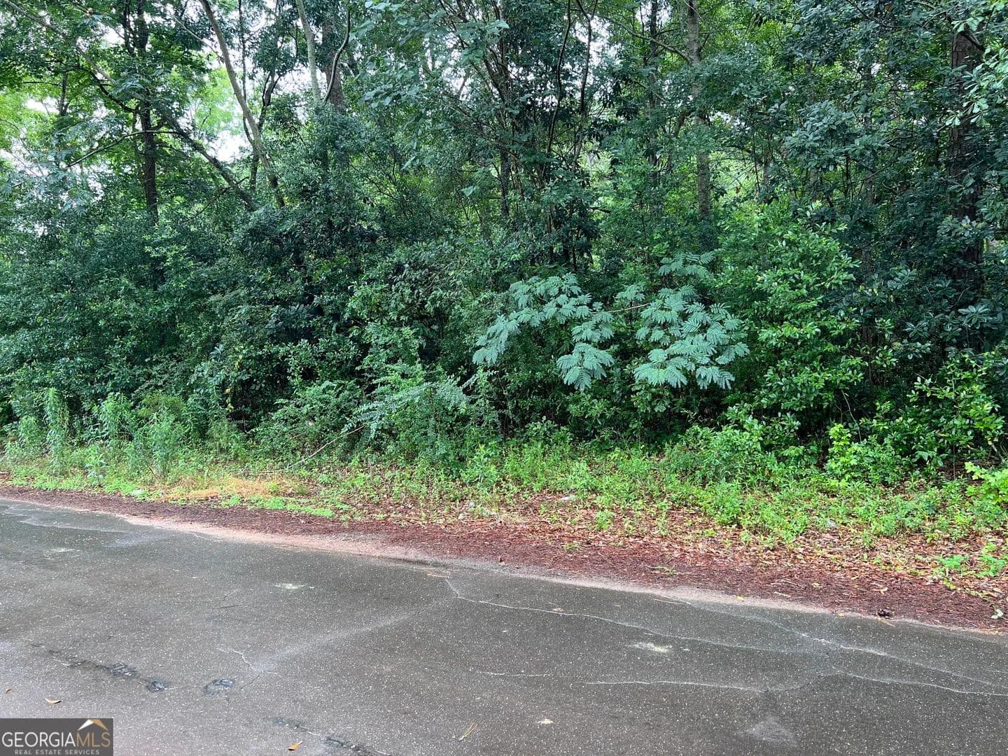 Vacant Land in Richland - Richland, Georgia, 31825