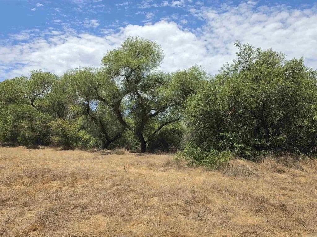 Lots & Land-Other in Ramona - Ramona, California, 92065