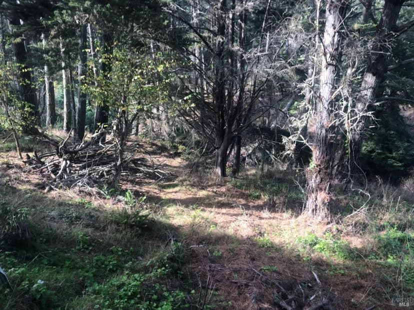 Vacant Land in Bolinas