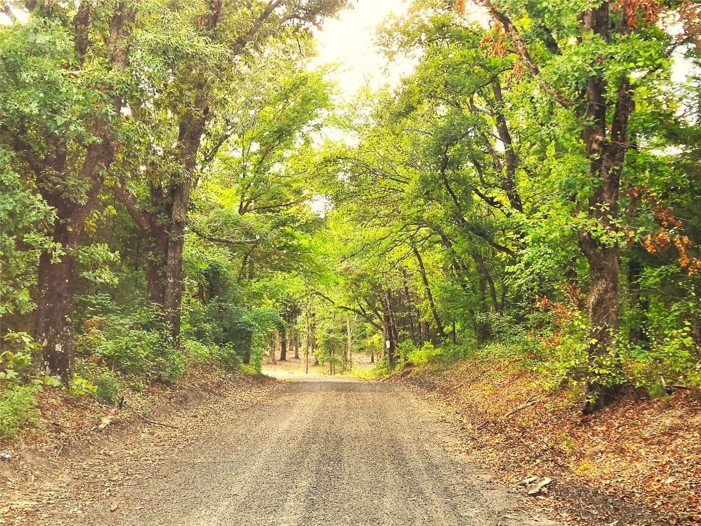 Vacant Land in Larue - Larue, Texas, 75770