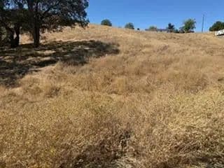 Lots & Land-Other in Valley Springs - Valley Springs, California, 95252