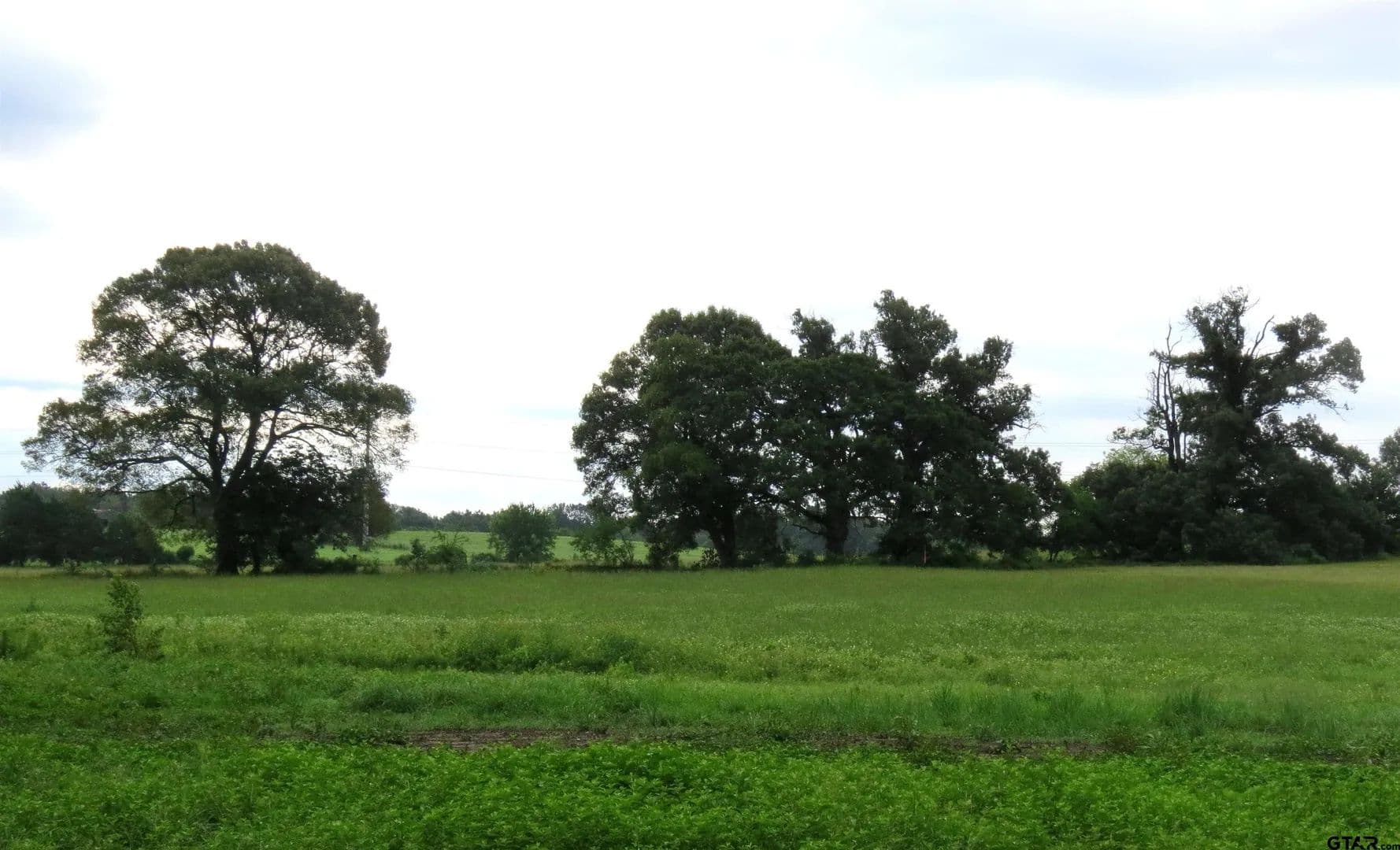 Vacant Land in Quitman - Quitman, Texas, 75783
