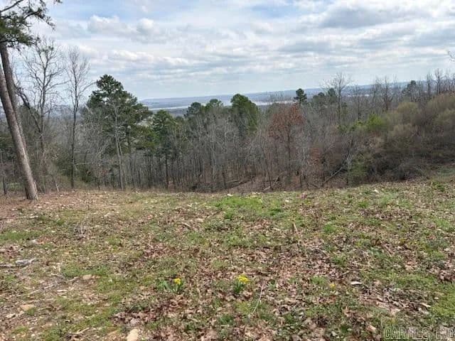 Lots & Land-Other in Conway