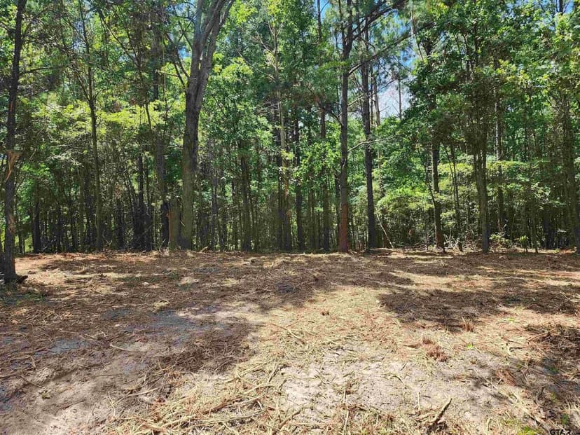 Lots & Land-Other in Hughes Springs
