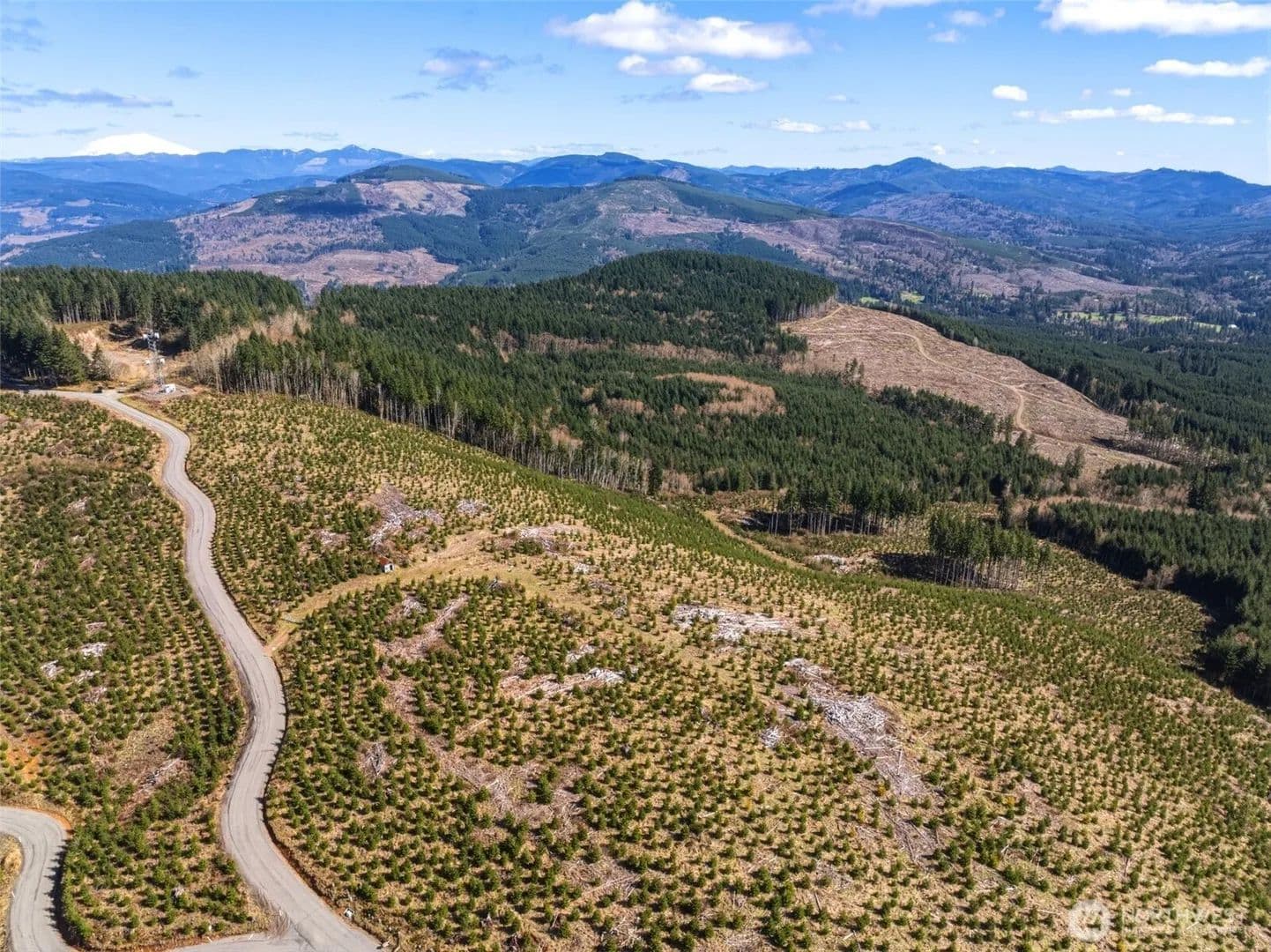 Vacant Land in Kelso - Kelso, Washington, 98626
