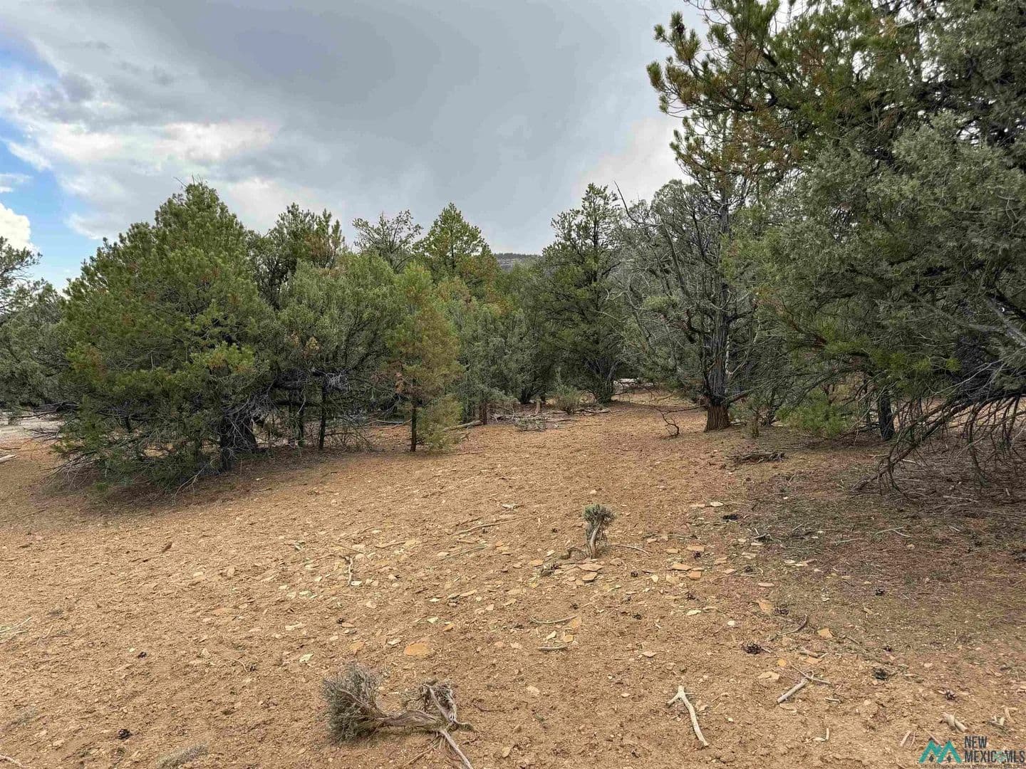 Property from 0 Pinon Ridge Blvd Boulevard - KW - Los Ojos, New Mexico, 87551
