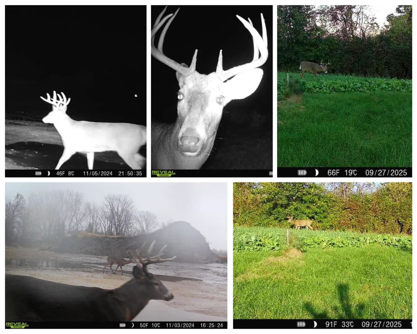 50-Acre Outdoor Investment Property in Monroe County | Private Fishery, Campground or RV Resort Potential - Tomah, Wisconsin, 54660