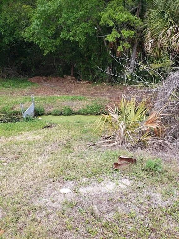 Vacant Land in Tarpon Springs