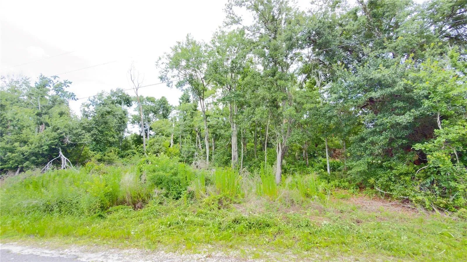 Property from 7402 LAND DRIVE - KW - Wesley Chapel, Florida, 33545