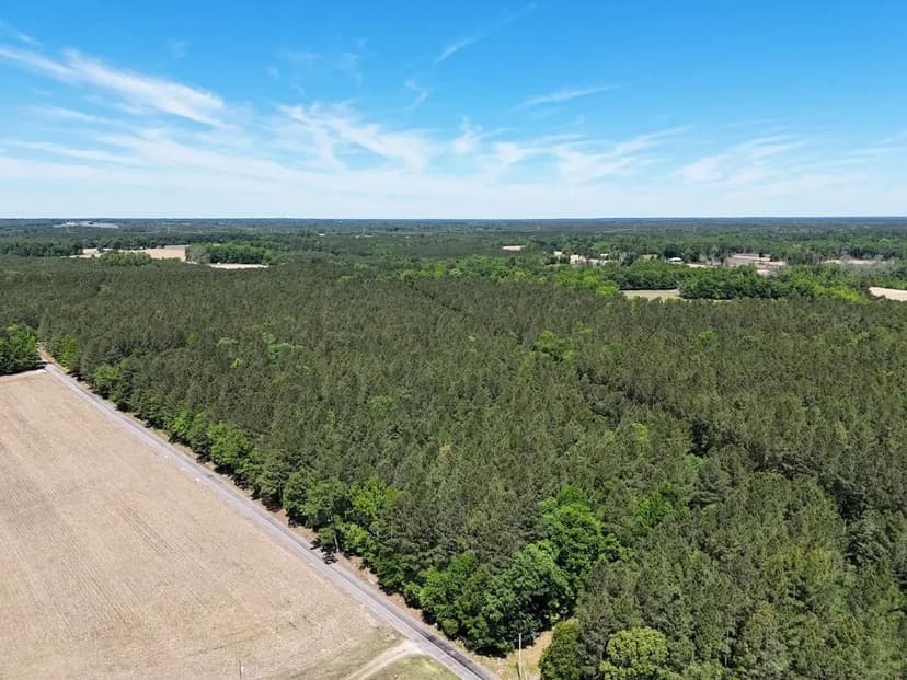 28 Acres of Residential and Recreational Land for Sale in Sussex County VA!