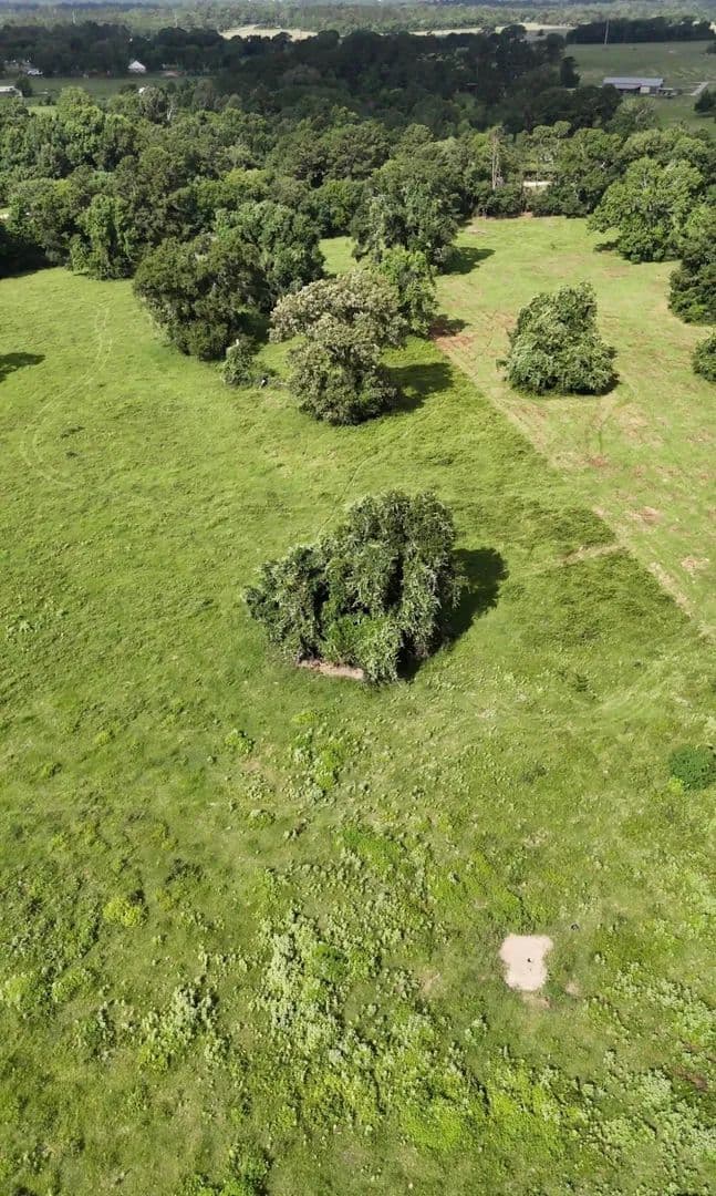 26.75 Acres of Land for Sale in New Waverly, TX - New Waverly, Texas, 77358