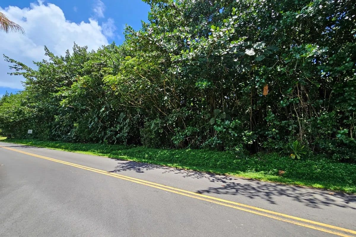 Vacant Land in Pahoa - Pahoa, Hawaii, 96778