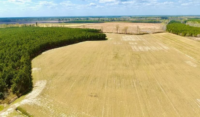 112 acres of agricultural land in Gates County NC!