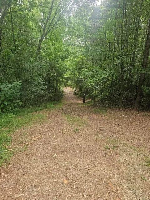 Lots & Land-Other in Cleveland - Cleveland, Tennessee, 37323