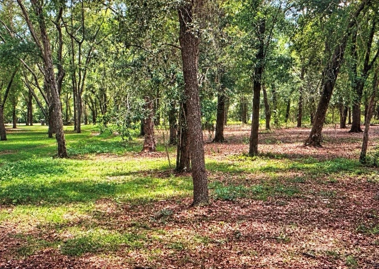 Lots & Land-Other in LADY LAKE - Lady Lake, Florida, 32159