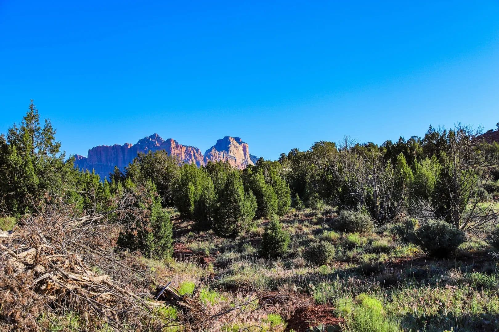 Vacant Land in Rockville - Rockville, Utah, 84763