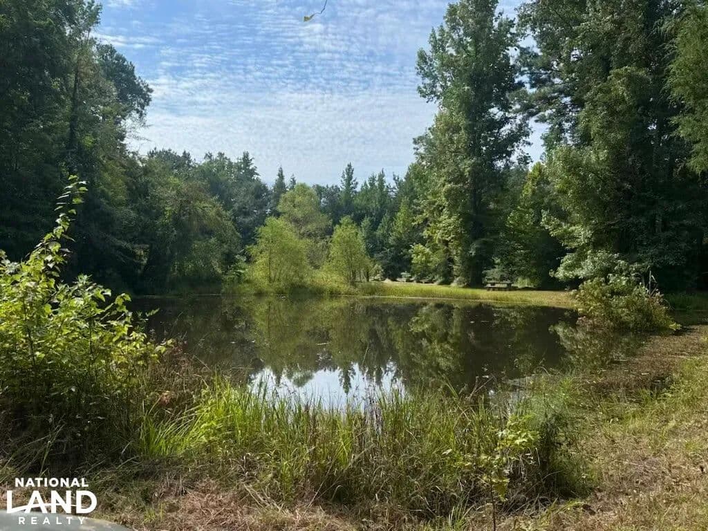 Reform Recreational Getaway - Reform, Alabama, 35481