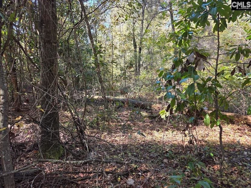 Vacant Land in Camden