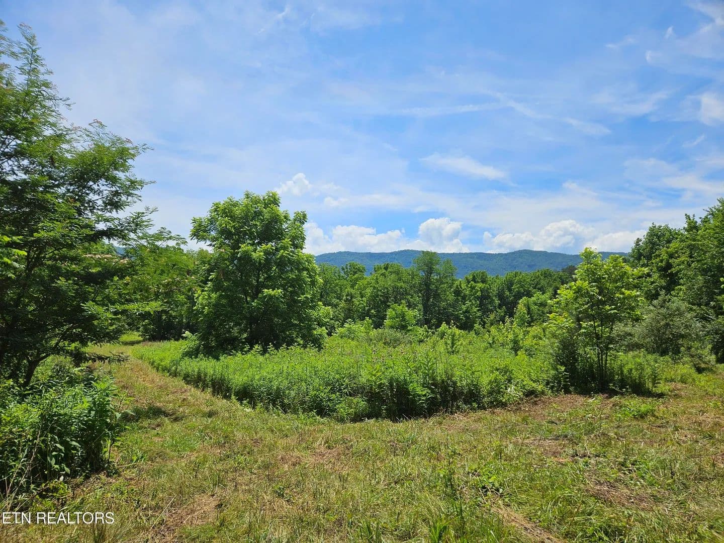 Vacant Land in Maryville - Maryville, Tennessee, 37803