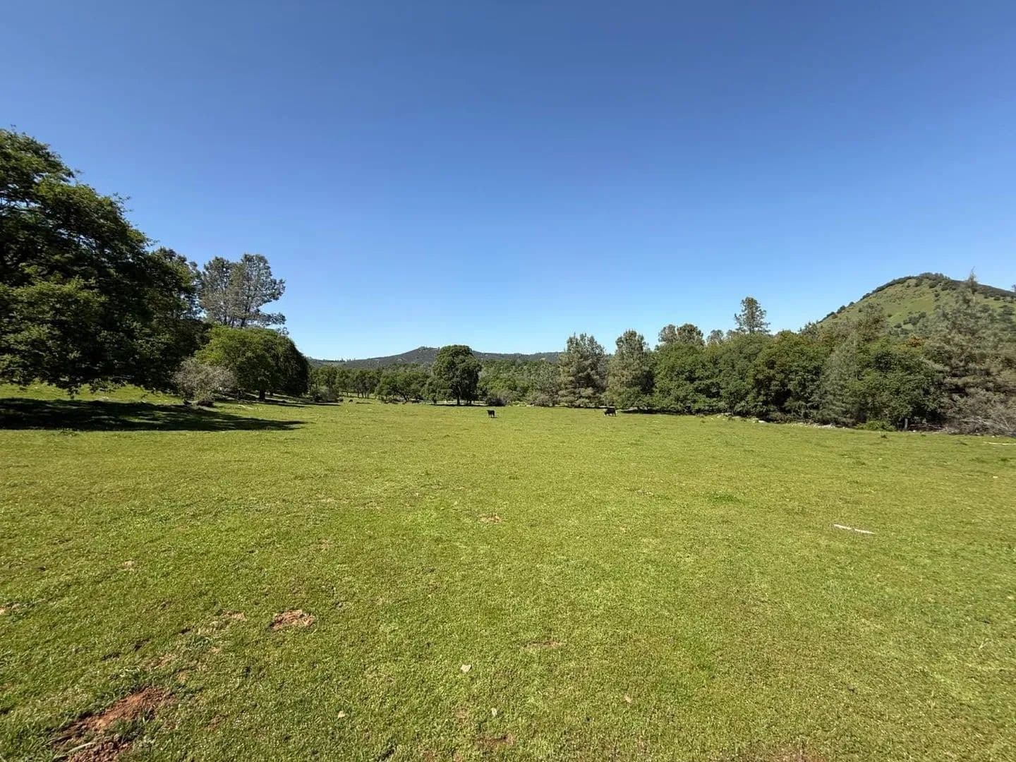 Lots & Land-Other in Vallecito - Vallecito, California, 95251
