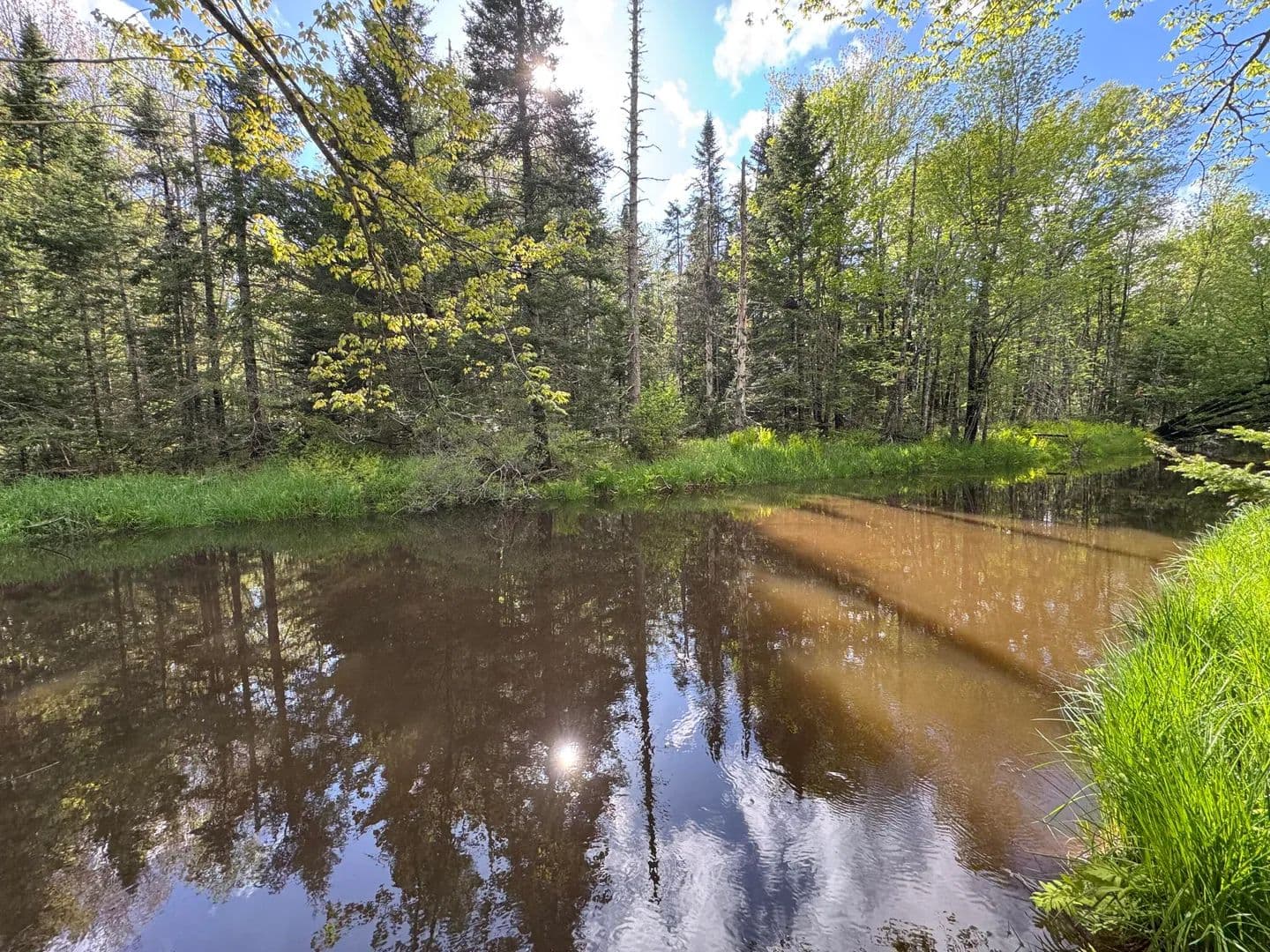 6 Acres of Land for Sale in Washington, Maine - Washington, Maine, 04574