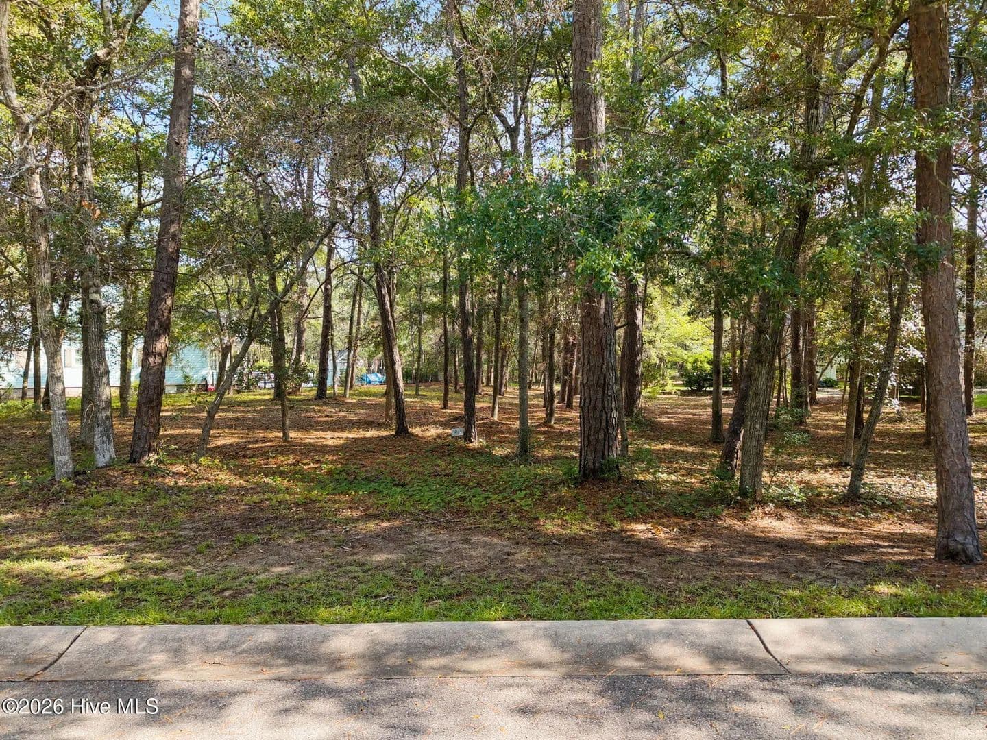 Vacant Land in Supply - Supply, North Carolina, 28462