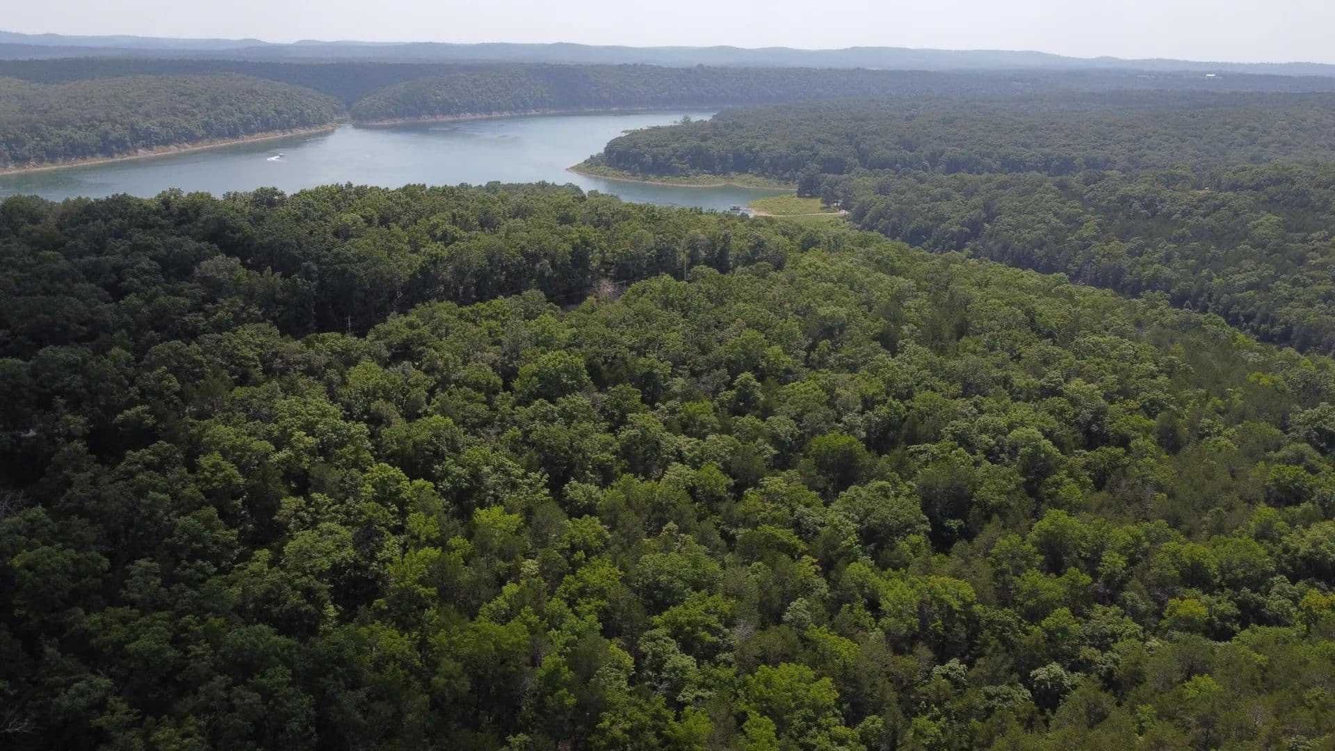7.7 Acres of Land for Sale in Cedarcreek, MO - Cedarcreek, Missouri, 65627