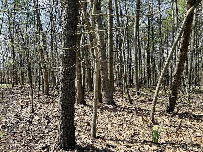 Lots & Land-Other in Canadian Lakes