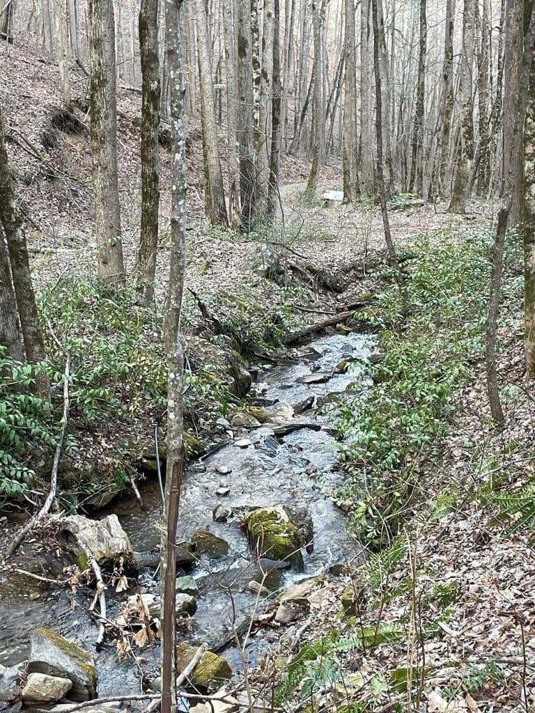 Property from 00 White Oaks Rd - KW